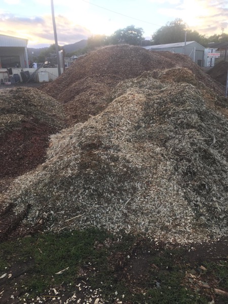 A large mound of garden mulch at golden hour
