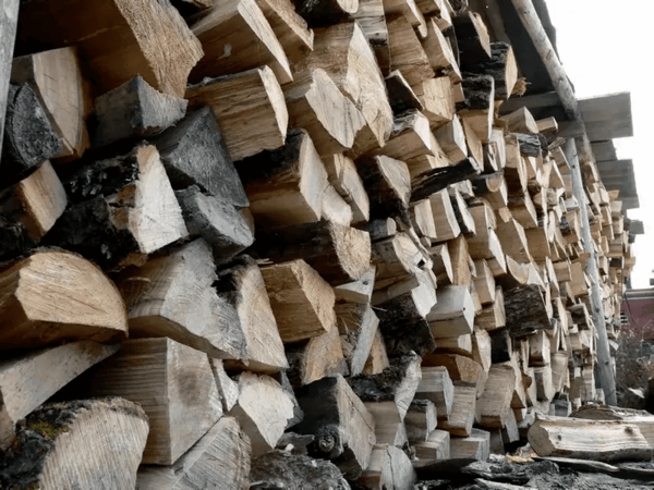 Split firewood stacked against a fence line