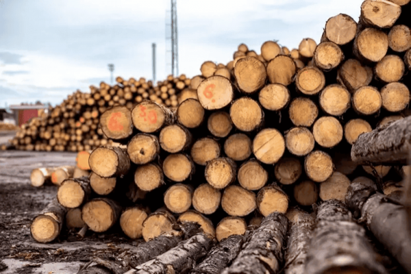 Stacked round logs before splitting
